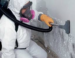 Best Mold Prevention Services  in USA